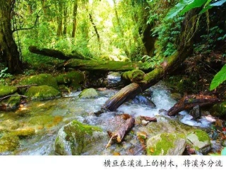 騰沖戶外徒步丨林家鋪，剛好18°C